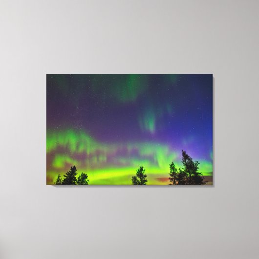Noorderlicht | Manitoba Canada Canvas Afdruk (Voorkant)