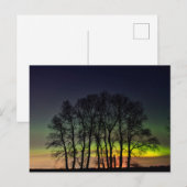 Noorderlicht | Manitoba Canada Grande Pointe Briefkaart (Voorkant / Achterkant)