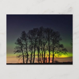 Noorderlicht Manitoba Canada Grande Pointe Briefkaart