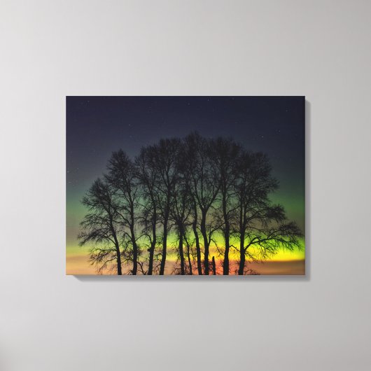 Noorderlicht | Manitoba Canada Grande Pointe Canvas Afdruk (Voorkant)