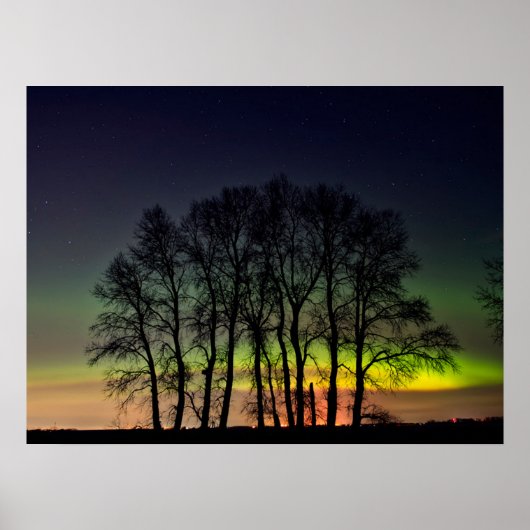Noorderlicht | Manitoba Canada Grande Pointe Poster (Voorkant)