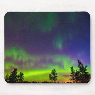 Noorderlicht   Manitoba Canada Muismat