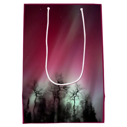 Noorderlicht - Medium Gift Bag Medium Cadeauzakje (Achterkant)