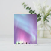 Noorderlicht Sky Winter Alaska Stars Briefkaart (Staand voorkant)