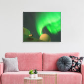 Noorderlicht vanaf een schip in Zee Canvas Afdruk (Insitu (Woonkamer))