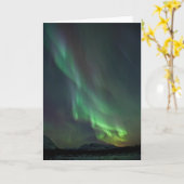 Noorderlicht | Whitehorse, Yukon Kaart (Gele Bloem)