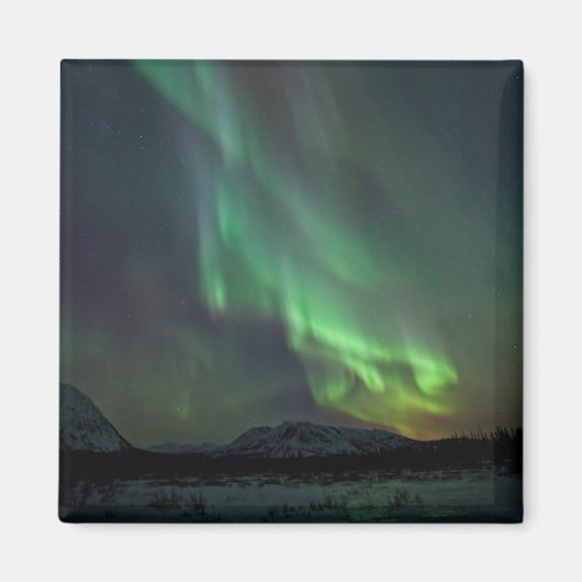 Noorderlicht | Whitehorse, Yukon Magneet (Voorkant)
