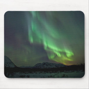 Noorderlicht   Whitehorse, Yukon Muismat