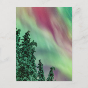 Noorderlicht   Winter in Glennallen, Alaska Briefkaart
