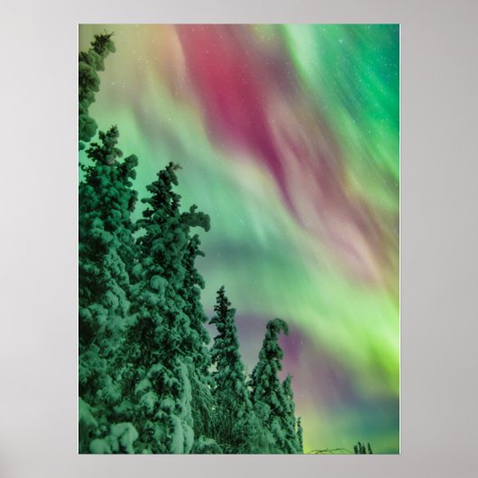 Noorderlicht | Winter in Glennallen, Alaska Poster (Voorkant)