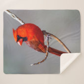 Noordkardinaal Sherpa Fleece Blanket Deken (Voorkant (horizontaal))