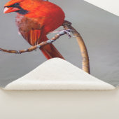 Noordkardinaal Sherpa Fleece Blanket Sherpa Deken (3/4)