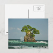 Noordkust van Trinidad Briefkaart (Voorkant / Achterkant)