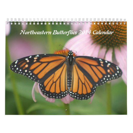 Noordoost Butterflies 2019 Kalender (Hoes)