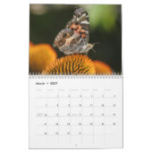 Noordoost Butterflies 2019 Kalender (Mar 2027)