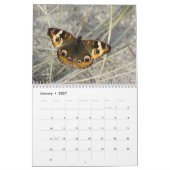 Noordoost Butterflies 2019 Kalender (Jan 2027)