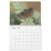 Noordoost Butterflies 2019 Kalender (Feb 2027)