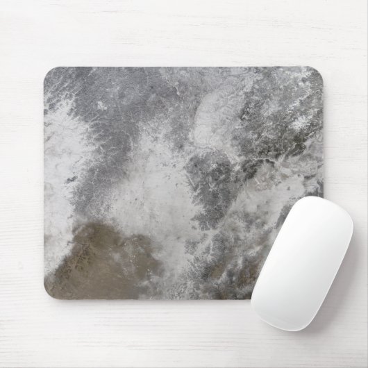 Noordoost-China Muismat (Met muis)