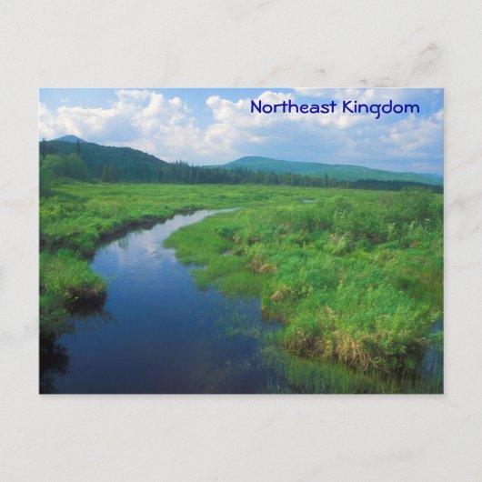 Noordoost-Engeland Vermont Victory Bog Briefkaart (Voorkant)