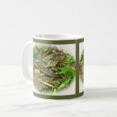 Noordoost-Garter Snake Mok (Voorkant links)