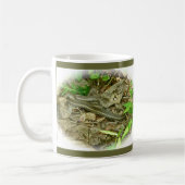 Noordoost-Garter Snake Mok (Links)