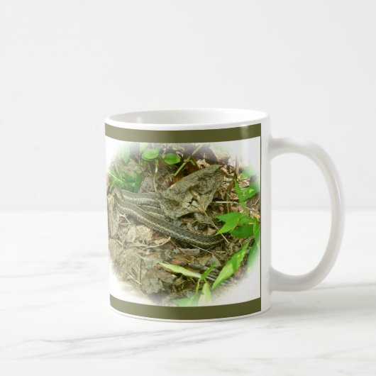 Noordoost-Garter Snake Mok (Rechts)