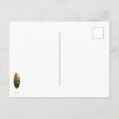 Noordoost najaar briefkaart (Achterkant)