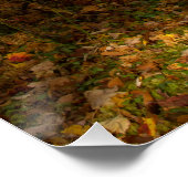 Noordoost najaar perfect poster (Hoek)