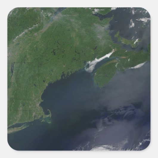 Noordoost-Verenigde Staten en Canada Vierkante Sticker (Voorkant)