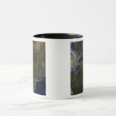 Noordoost-Verenigde Staten Mok (Midden)