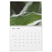 Noordoostelijke Dragonflies Damselflies kalender (Mar 2026)