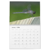 Noordoostelijke Dragonflies Damselflies kalender (Jan 2026)