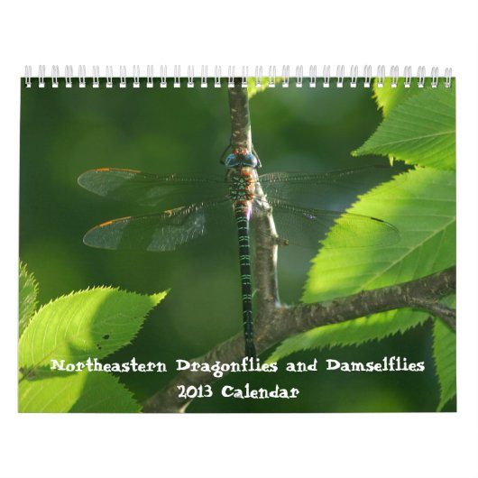 Noordoostelijke wateren Damselflies Kalender 2013 (Hoes)