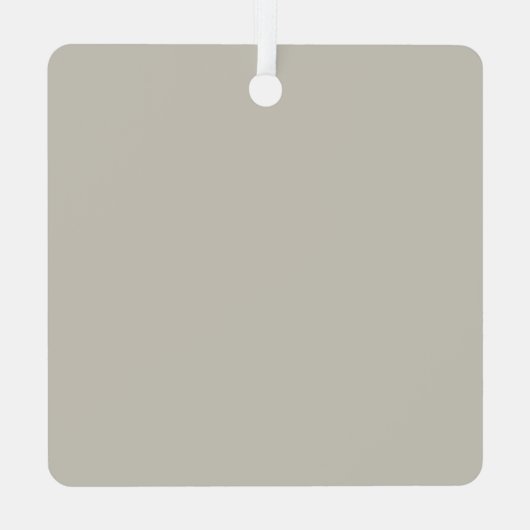 Noordpool Boekenclub Bibliothecaris Boekachtige Le Metalen Ornament (Achterkant)