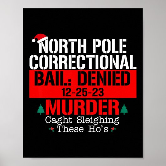 Noordpool Correctionele borgtocht ontkend moord ge Poster (Voorkant)