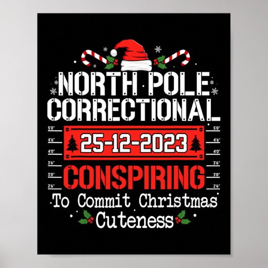 Noordpool correctionele samenzwerende matching fam poster (Voorkant)
