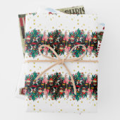 Noordpool en voedingskraker Verpakkingspapier Inpakpapier Vel (In situ)