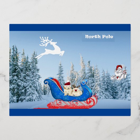 Noordpool Kerst Kaart (Voorkant)