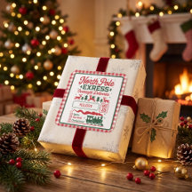 Noordpool Kerstman express levering gespeeld
