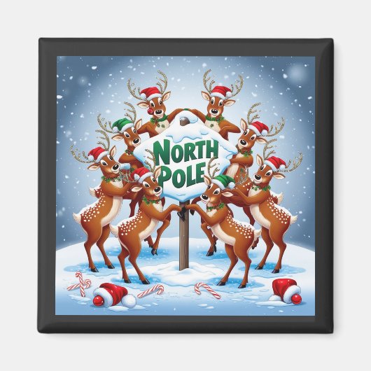 Noordpool Magneet (Voorkant)