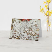 Noordpool - Oude Antiek Kaart Wereld (Gele Bloem)