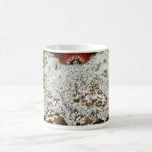  Noordpool - Oude Antiek Kaart Wereld Koffiemok (Center)