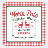 Noordpool rendier express levering ruit vierkante sticker (Voorkant)