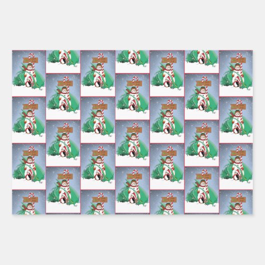 Noordpool Sneeuwman Dragon Pinguïn Kerstmis Inpakpapier Vel (Voorkant 3)