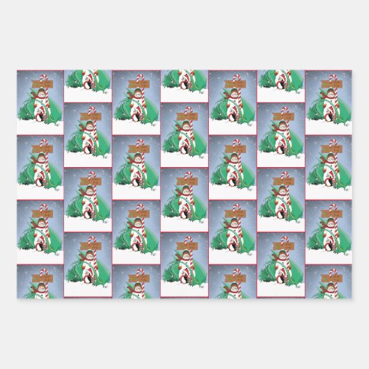 Noordpool Sneeuwman Dragon Pinguïn Kerstmis Inpakpapier Vel (Voorkant)