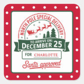 Noordpool Speciale Kerstman Levering Gestippeld Vierkante Sticker (Voorkant)