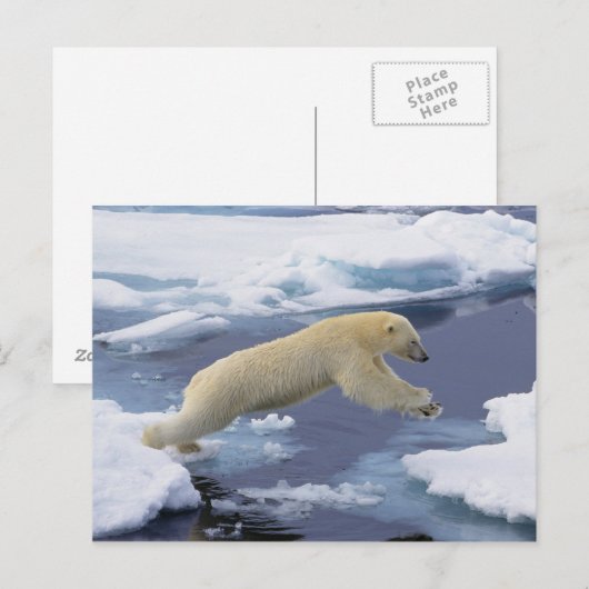 Noordpool, Spitsbergen, Polar Beer uitbreiding Briefkaart (Voorkant / Achterkant)