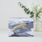 Noordpool, Spitsbergen, Polar Beer uitbreiding Briefkaart (Staand voorkant)