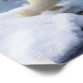 Noordpool, Spitsbergen, Polar Beer uitbreiding Foto Afdruk (Hoek)