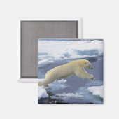 Noordpool, Spitsbergen, Polar Beer uitbreiding Magneet (Voorkant / Achterkant)